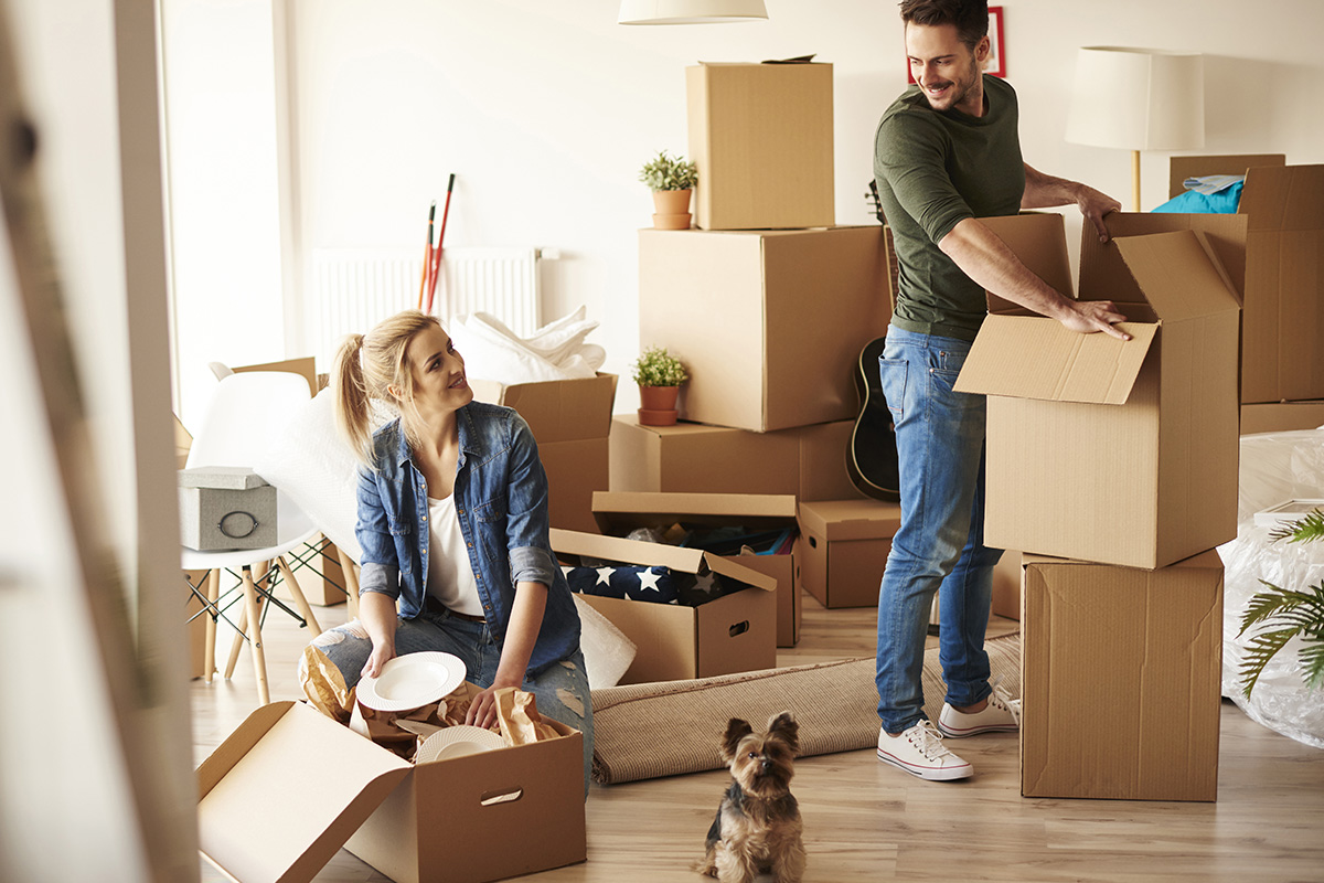 Moving boxes, Movers NYC